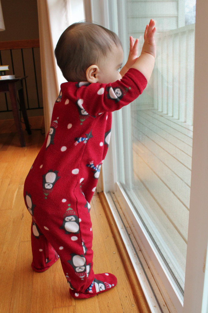 Kate_Window