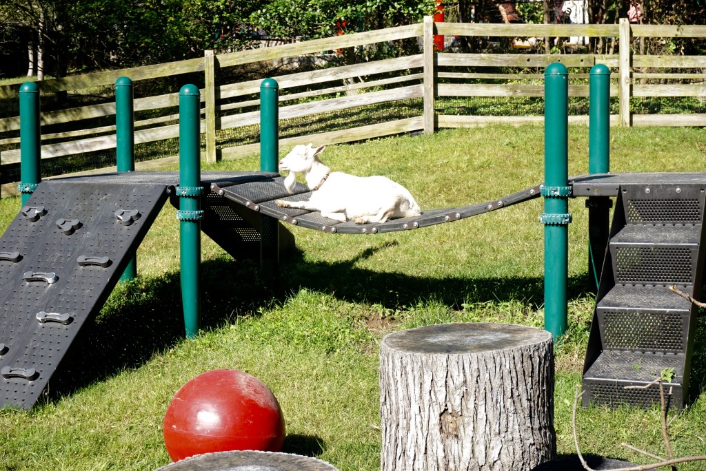 DSC01253